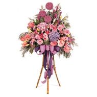 商务鲜花,幸运星