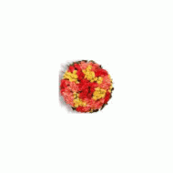 法国,100支玫瑰
