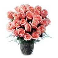 其它国家,24 pink ROSES