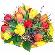 德国,郁金香花束（德国）